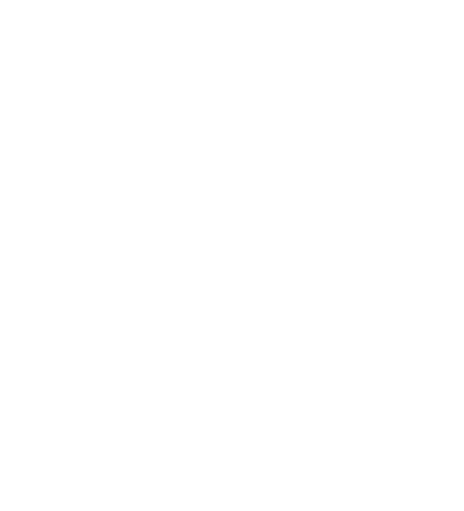 Bowtie Services Logo